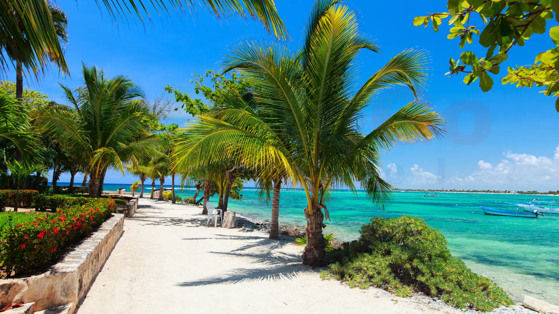 Cancun Airport to Akumal Transportation